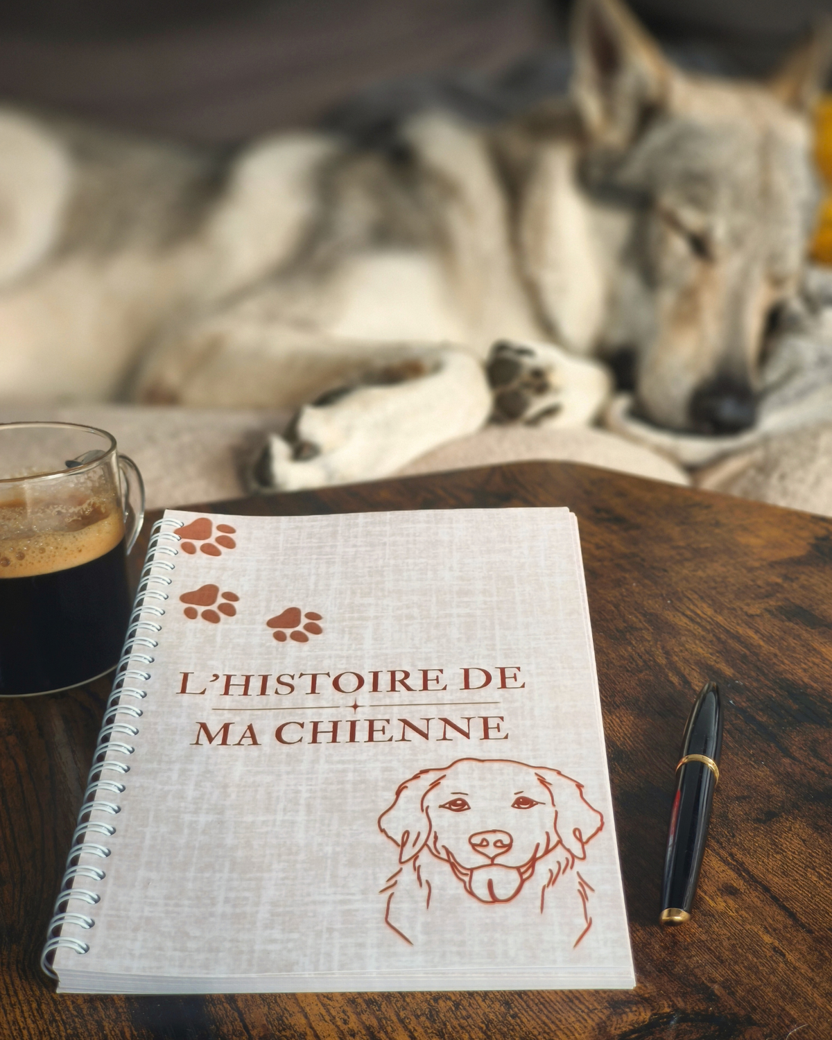 L'histoire de mon chien