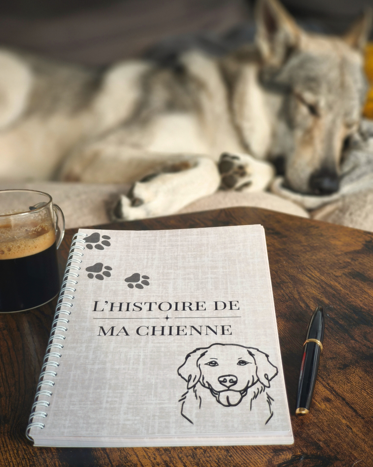 L'histoire de mon chien