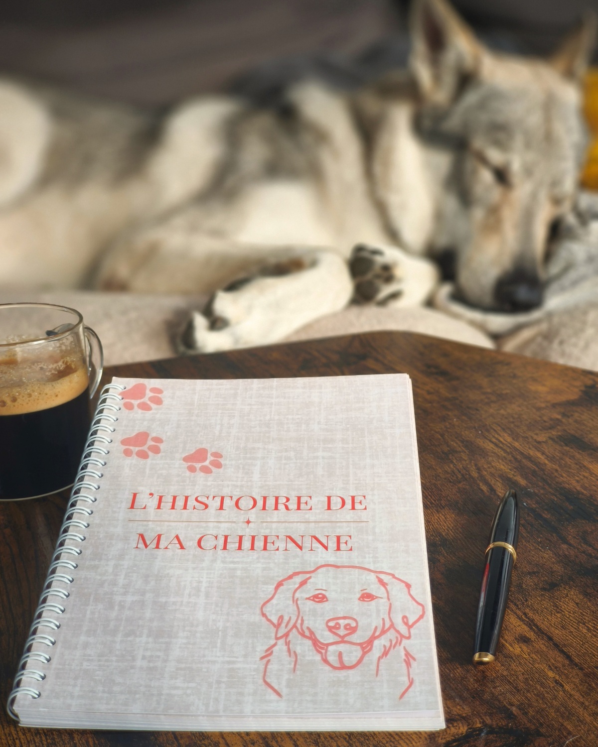 L'histoire de mon chien