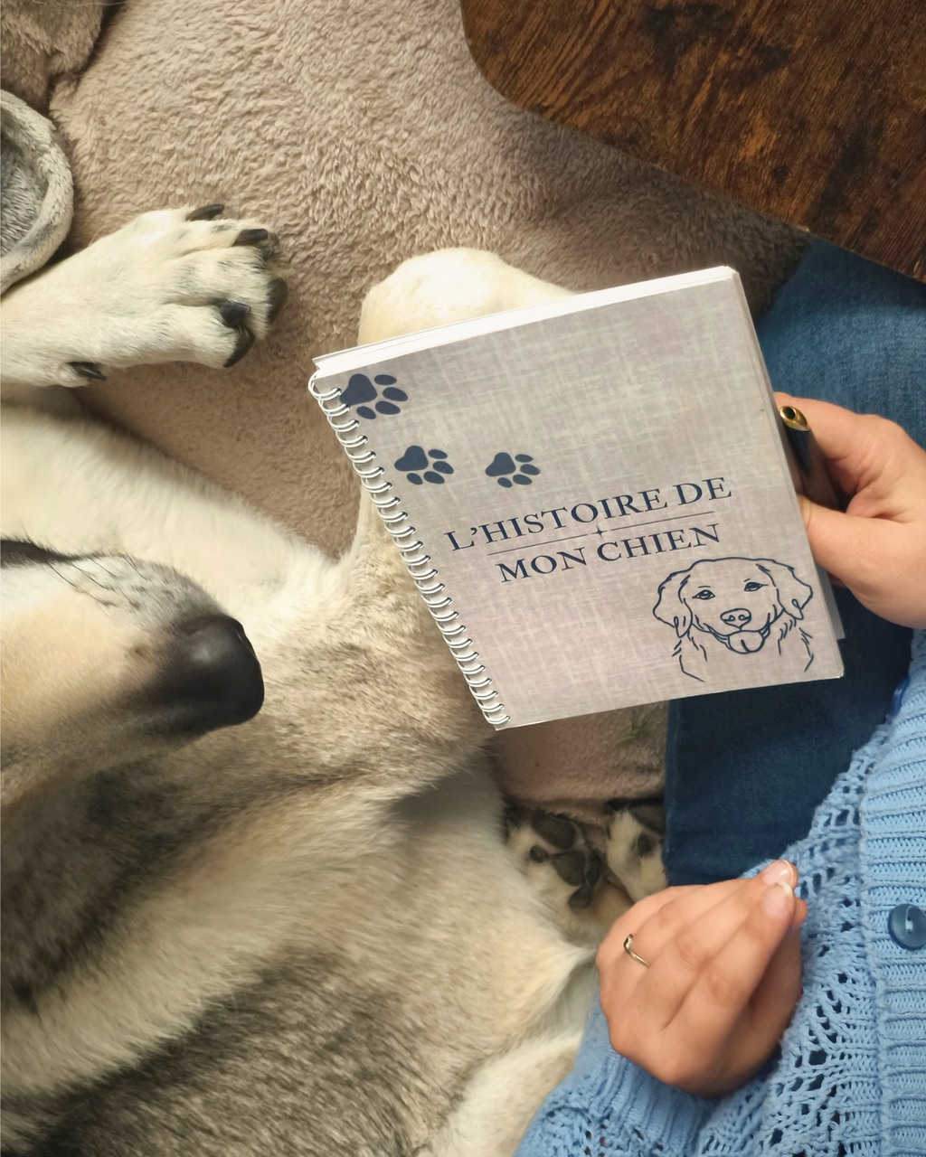 L'histoire de mon chien