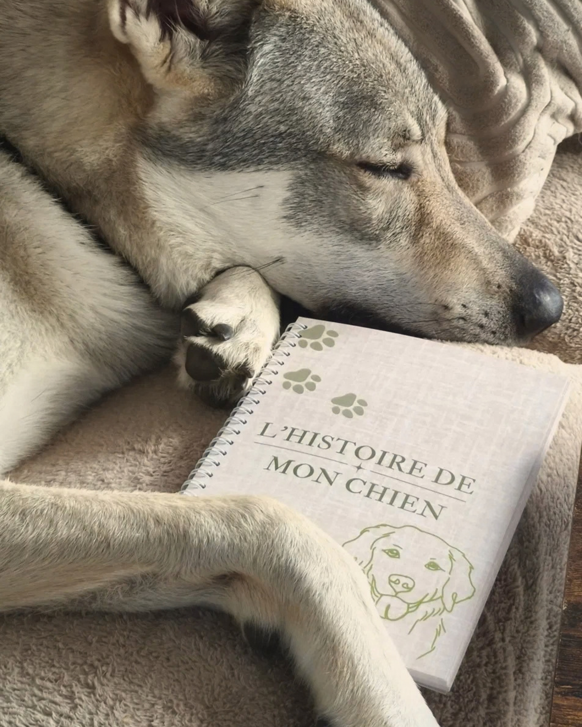 L'histoire de mon chien