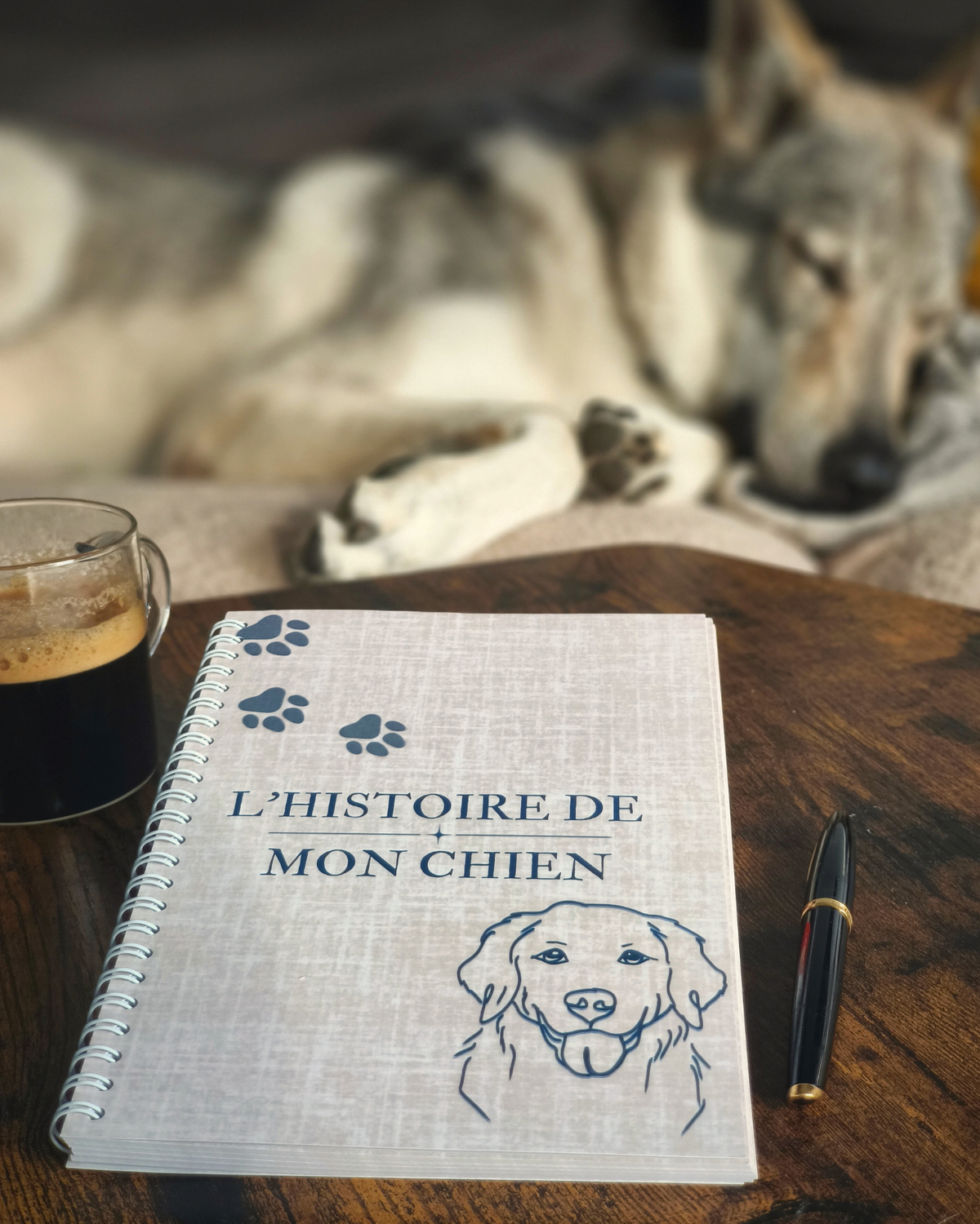 L'histoire de mon chien