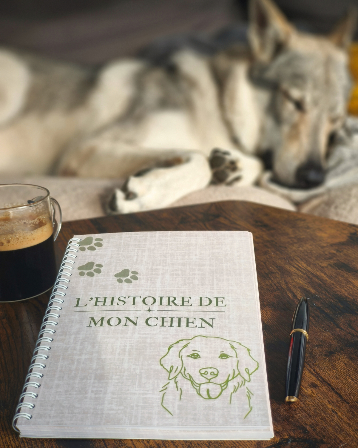 L'histoire de mon chien