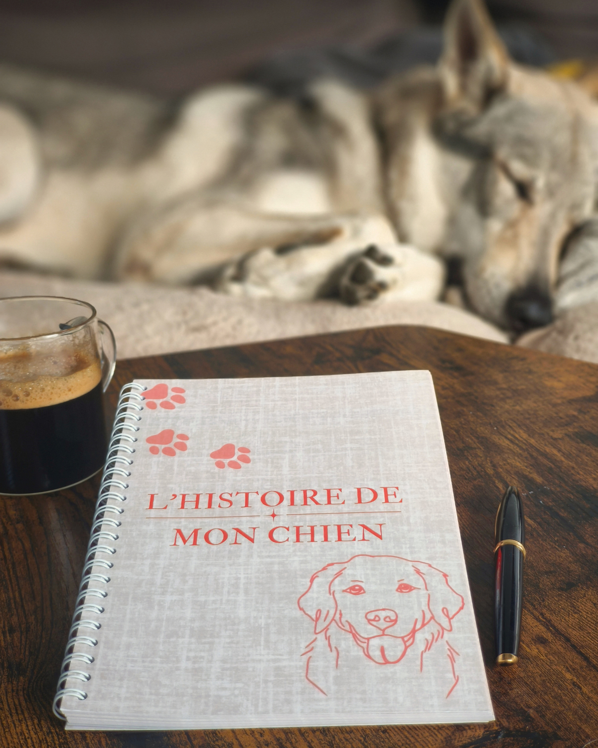 L'histoire de mon chien