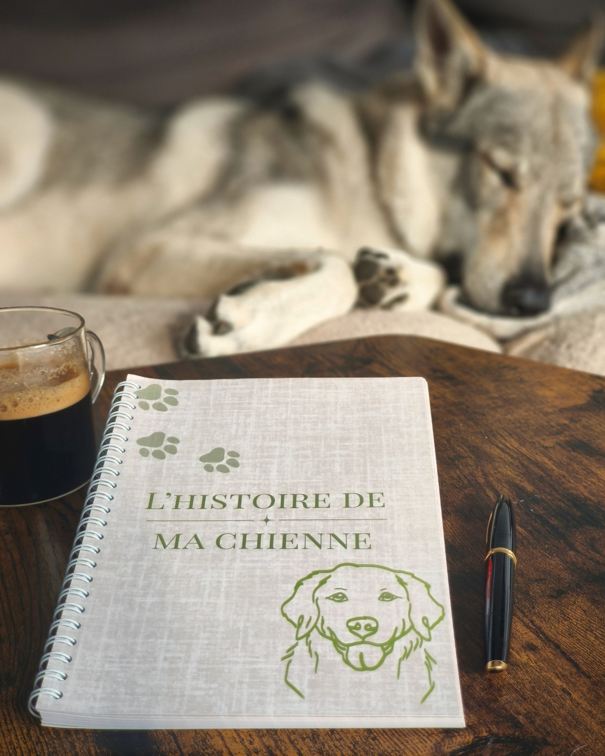 L'histoire de mon chien